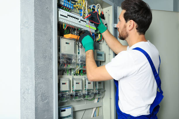 Best Electrical System Inspection  in Northville, MI